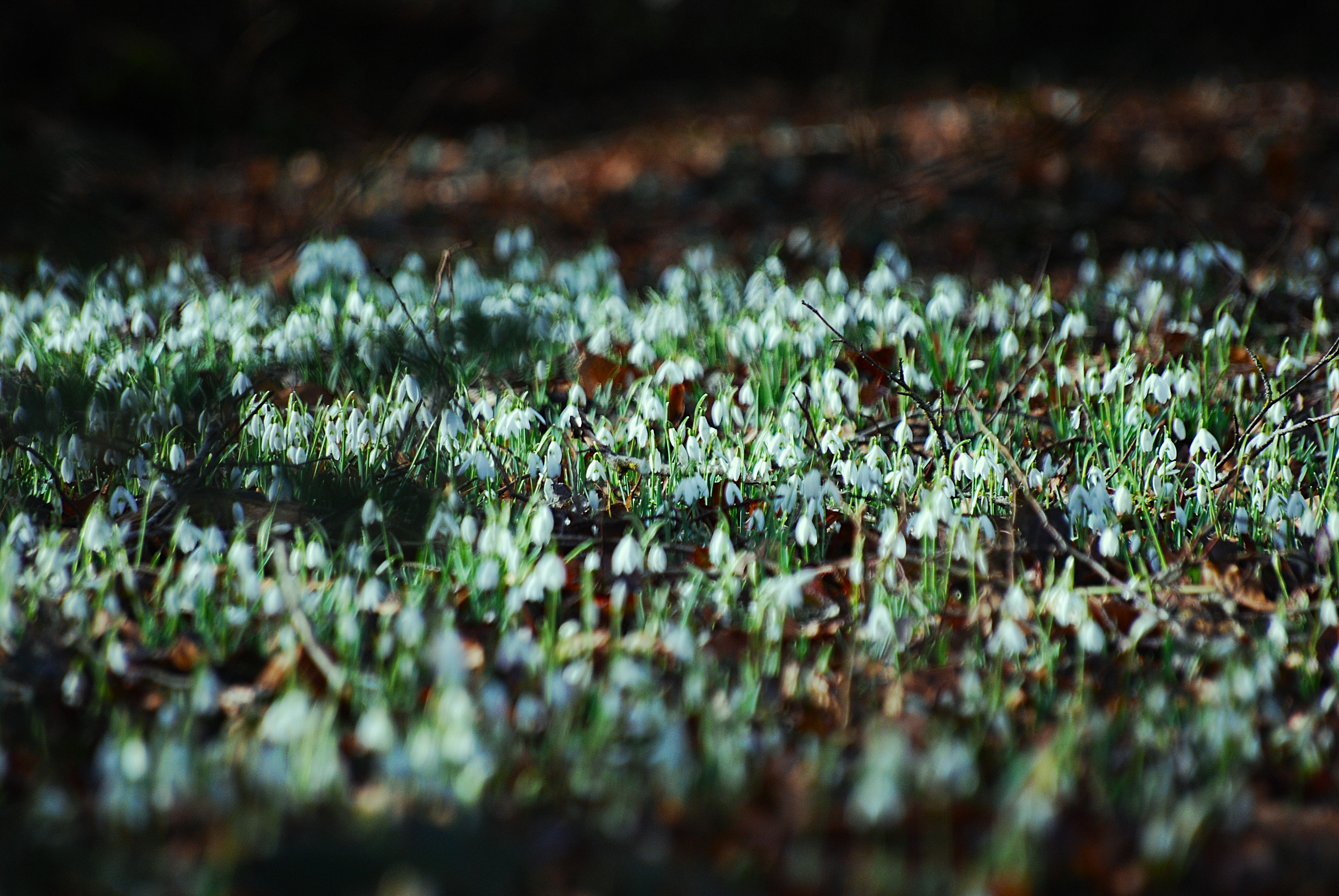 Schrijfdagboek #22: zal ik van genre wisselen?